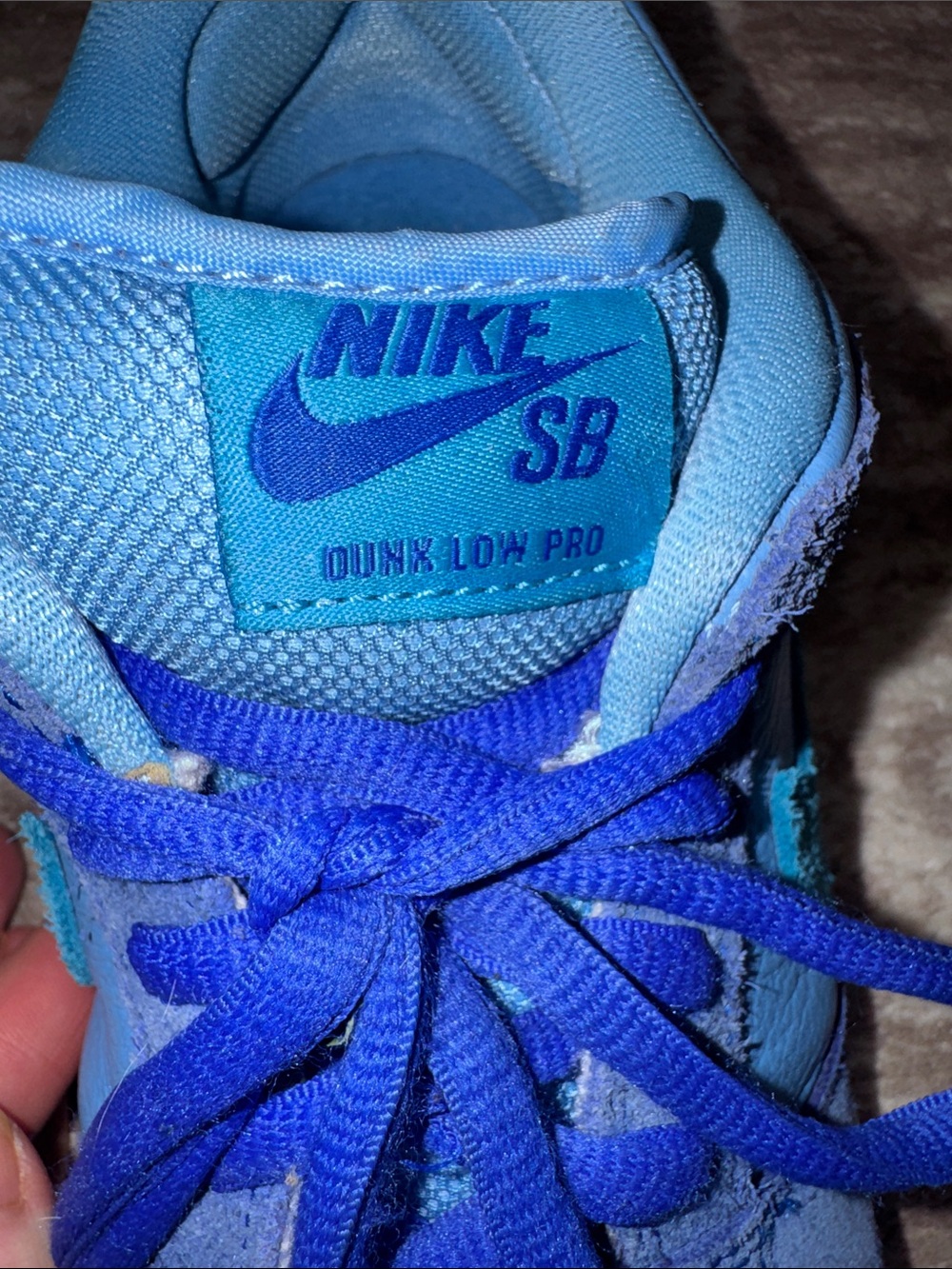 Nike SB Dunk Low Pro Blue Raspberry - Picture 6 of 10